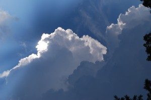 034
