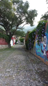 Ajijic - Side road from lake (photo by Jane Lovas)